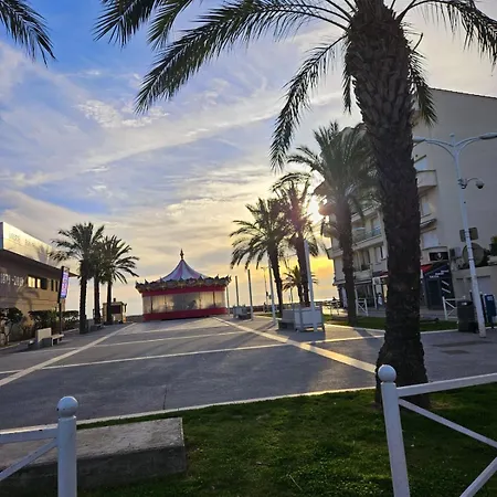 Camarguaise Entre Centre Et Le Grau-du-Roi