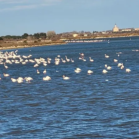 Сasa de vacaciones Camarguaise Entre Centre Et Le Grau-du-Roi