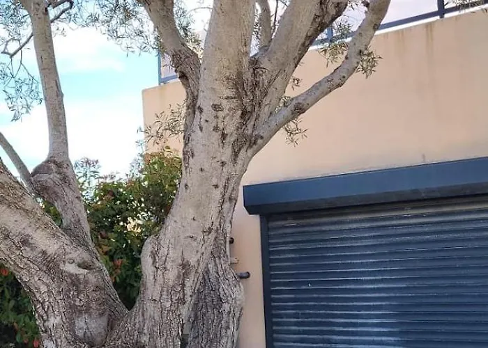 Casa de Férias Camarguaise Entre Et Centre Avec Bassin Exterieur